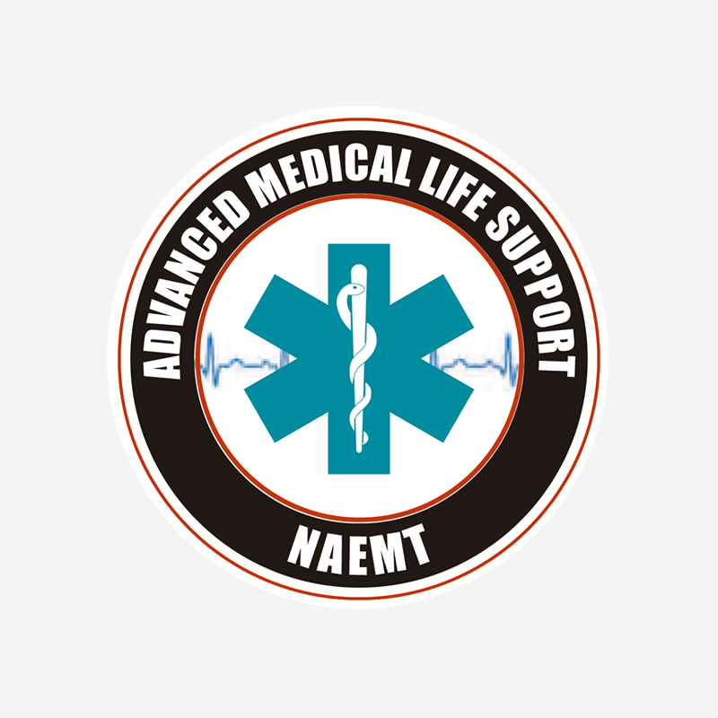 Advanced Medical Life Support (AMLS)