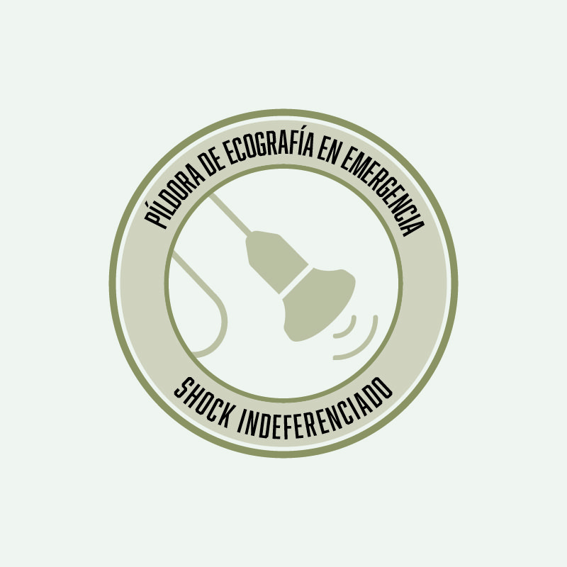 WEB-PMesa de trabajo 1WEBproducto