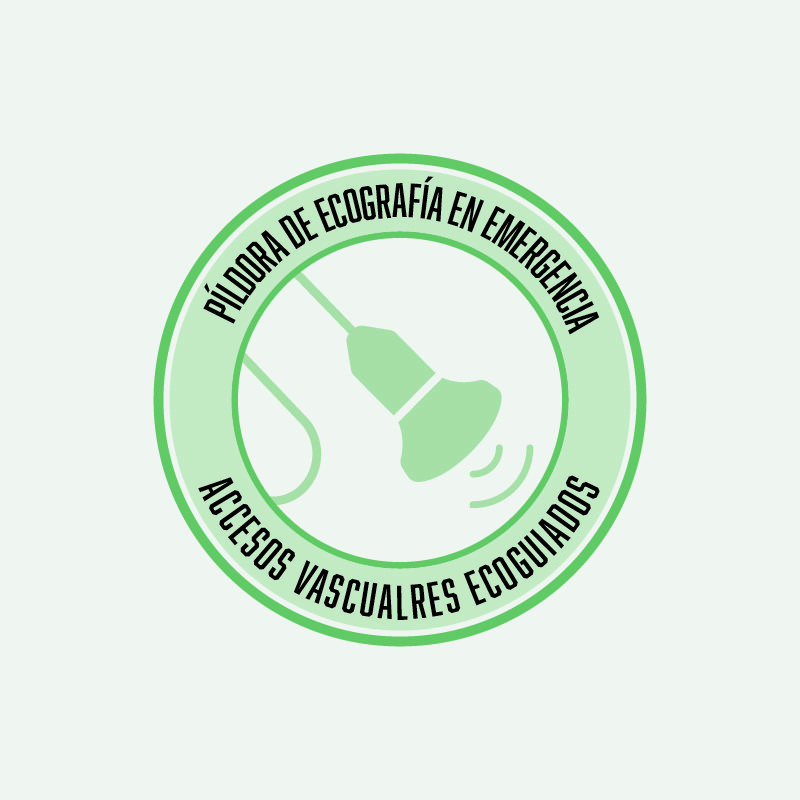 WEB-PMesa de trabajo 2WEBproducto
