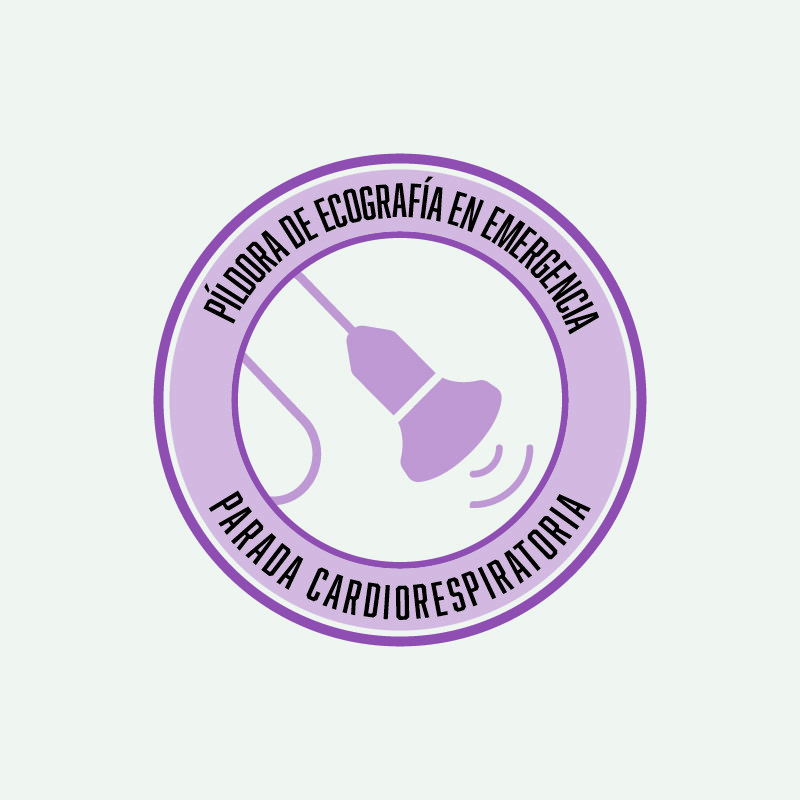 WEB-PMesa de trabajo 4WEBproducto